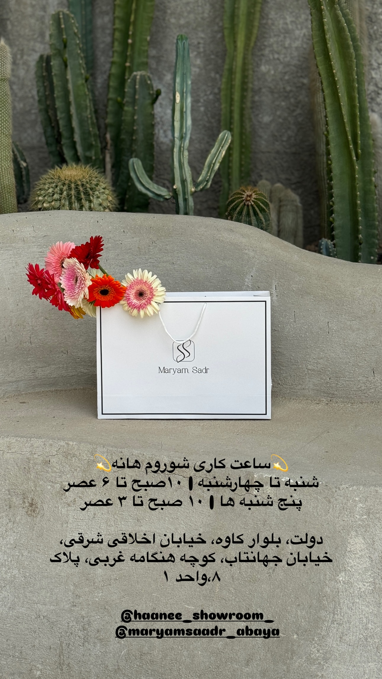  جدید ترین استوری اینستاگرام مریم صدر عبایا