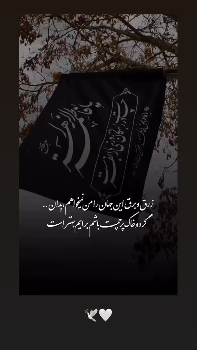  جدید ترین استوری اینستاگرام مریم صدر عبایا