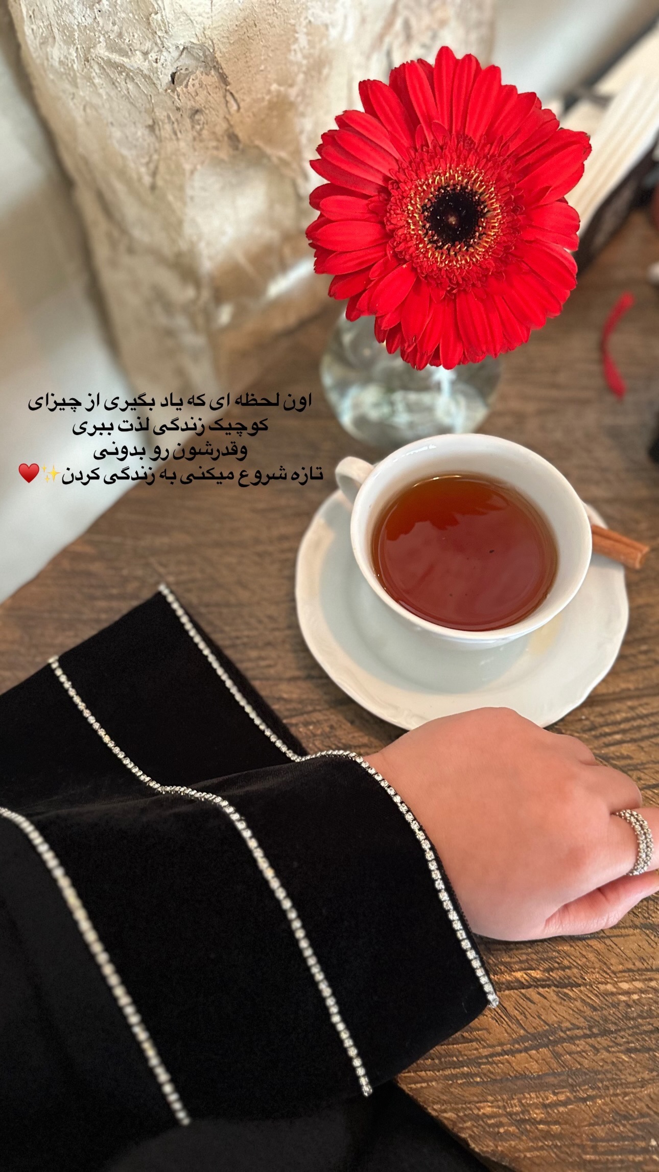  جدید ترین استوری اینستاگرام مریم صدر عبایا
