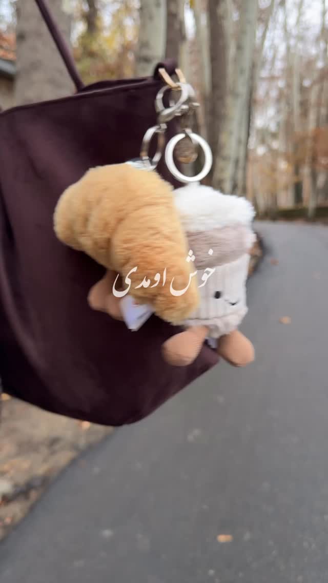  جدید ترین استوری اینستاگرام مریم