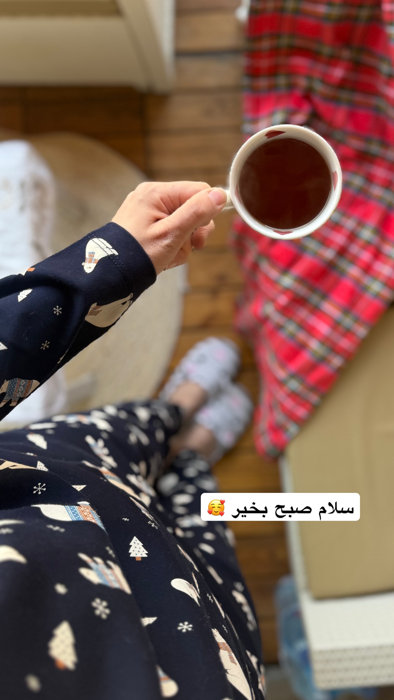  جدید ترین استوری اینستاگرام مریم