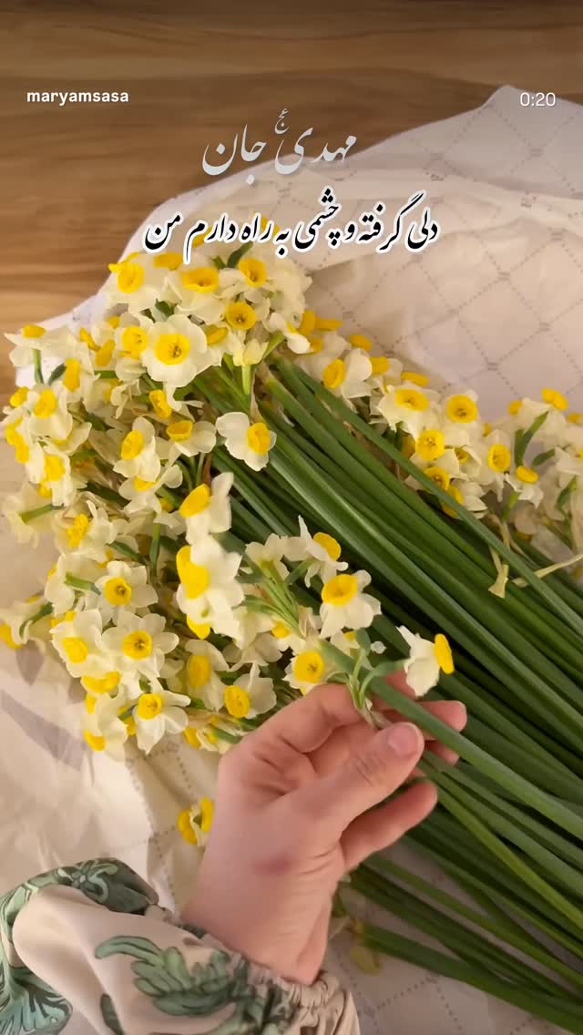  جدید ترین استوری اینستاگرام مریم