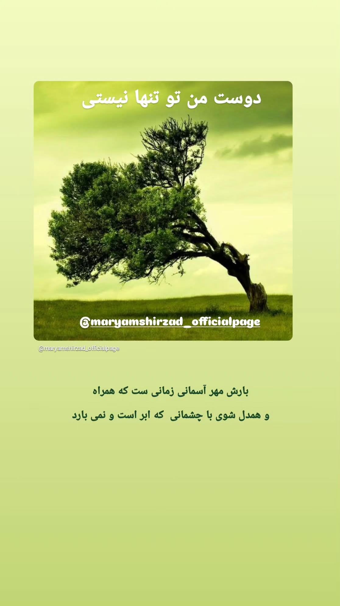  جدید ترین استوری اینستاگرام مریم شیرزاد