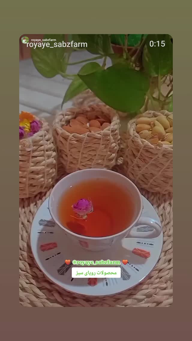  جدید ترین استوری اینستاگرام مریم شیرزاد