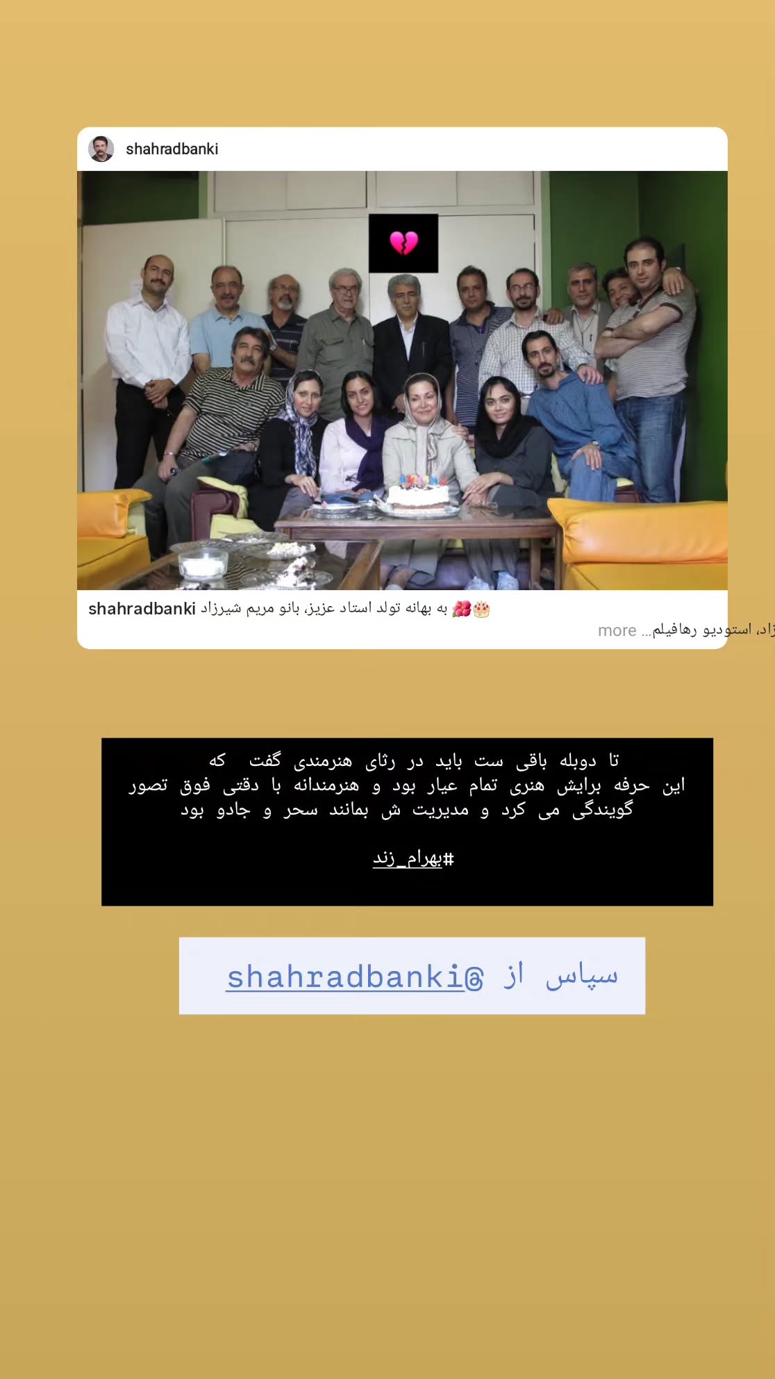  جدید ترین استوری اینستاگرام مریم شیرزاد