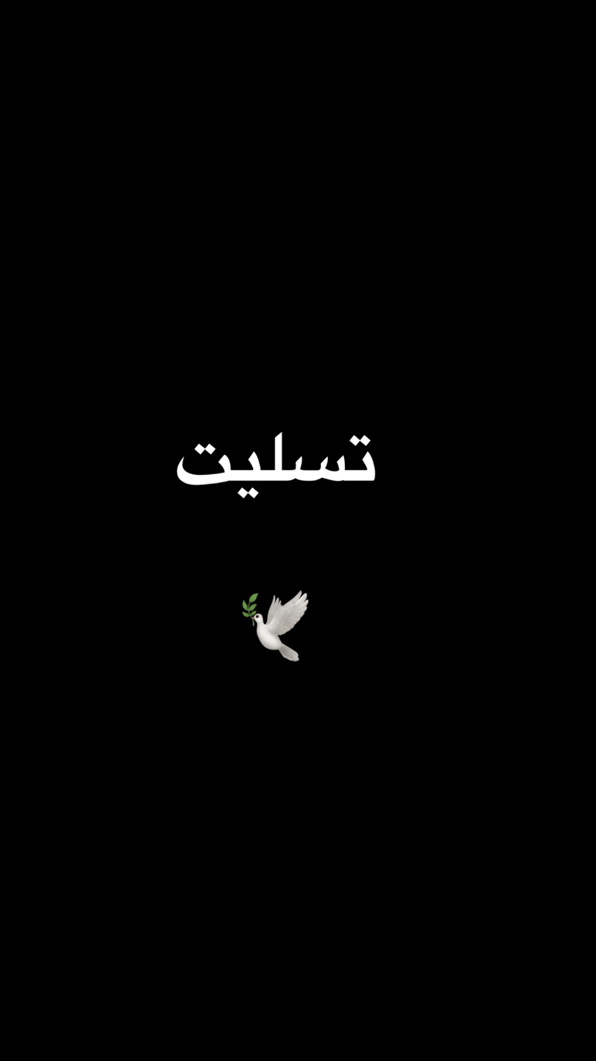  جدید ترین استوری اینستاگرام مریم احمدی پور