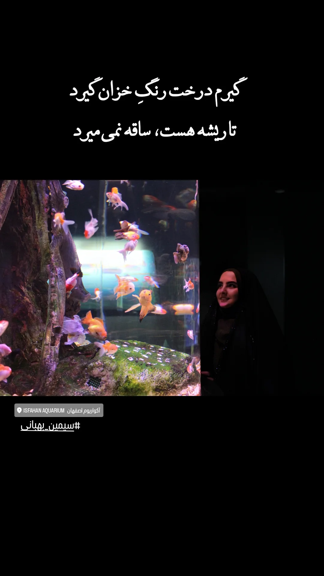  جدید ترین استوری اینستاگرام مرضیه کوچکی