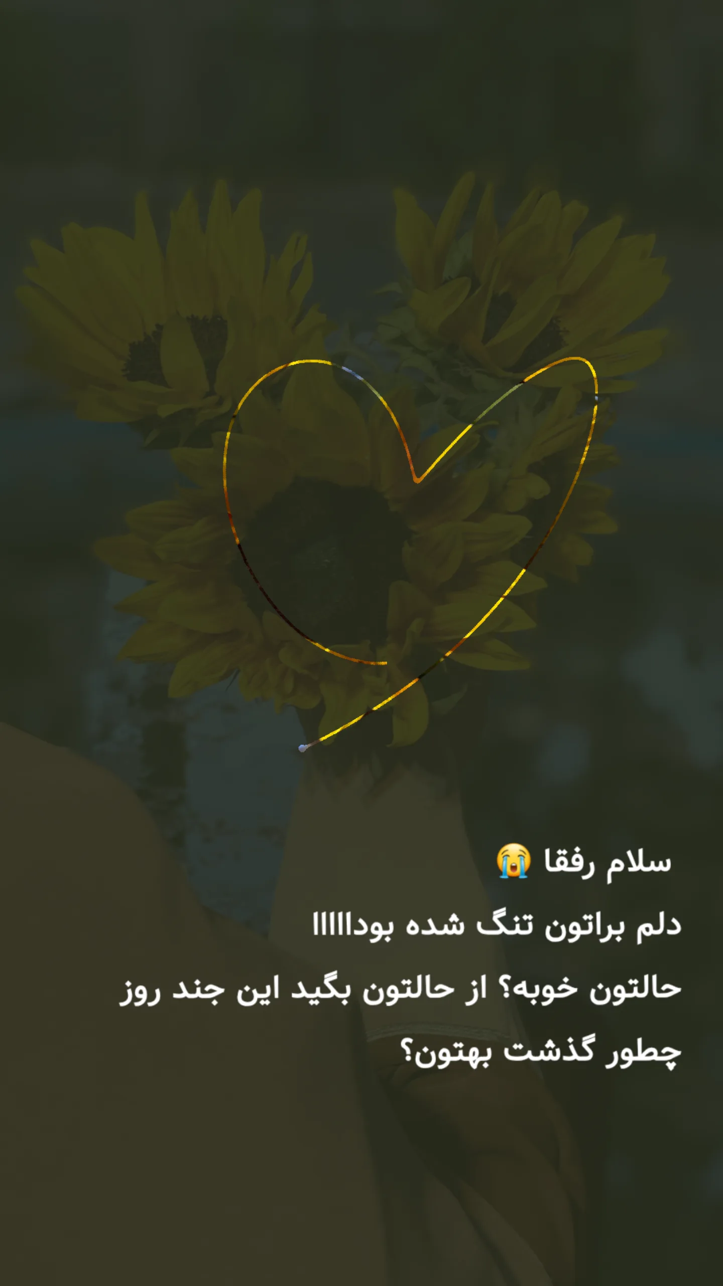  جدید ترین استوری اینستاگرام مرضیه کوچکی