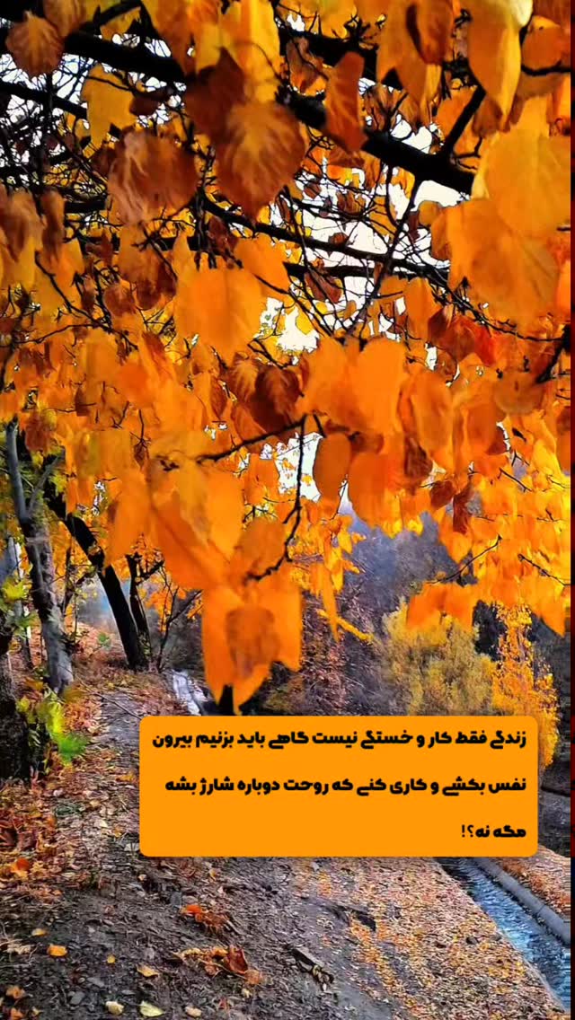  جدید ترین استوری اینستاگرام مرضیه کوچکی
