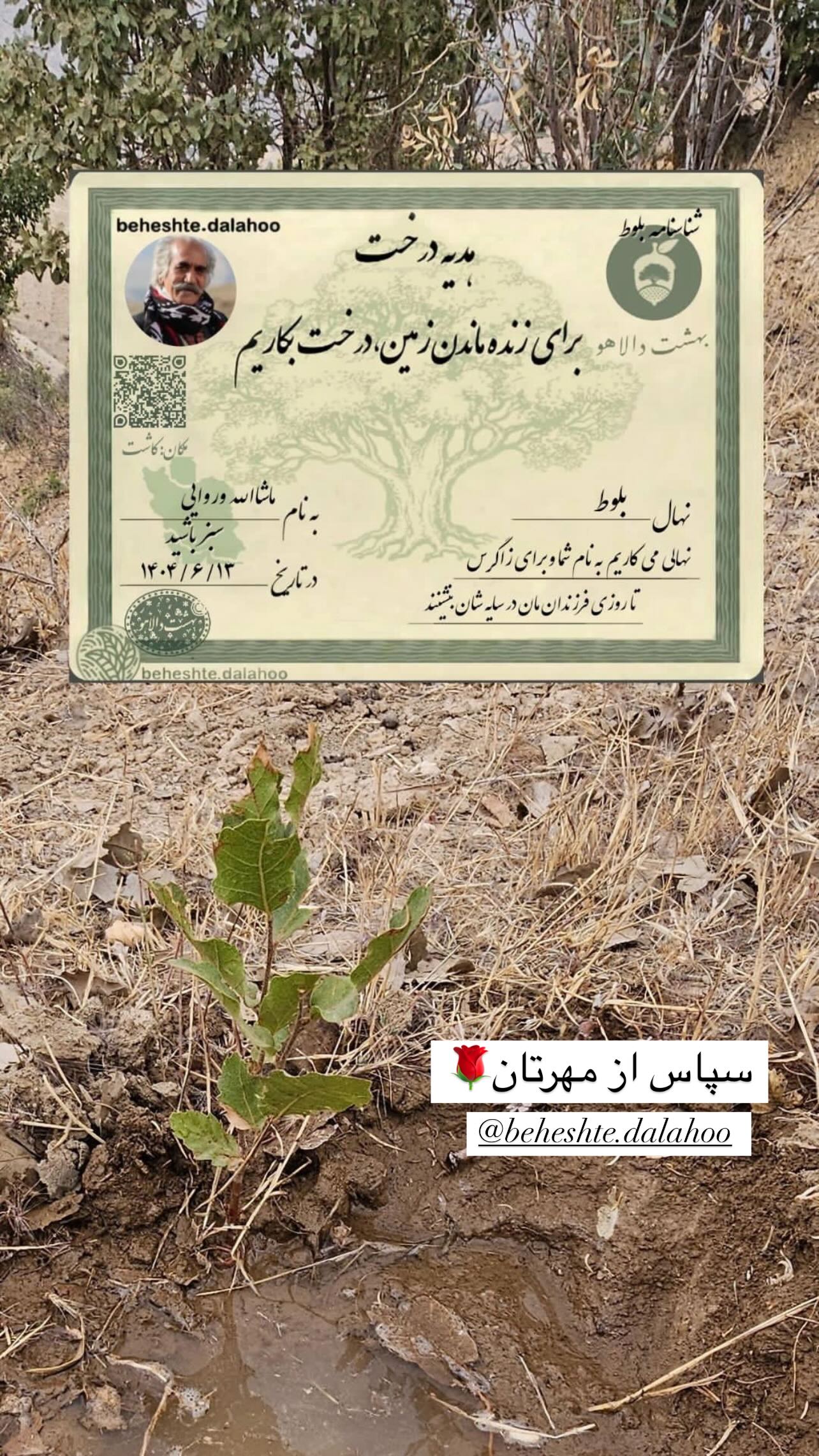  جدید ترین استوری اینستاگرام ماشاالله وروایی