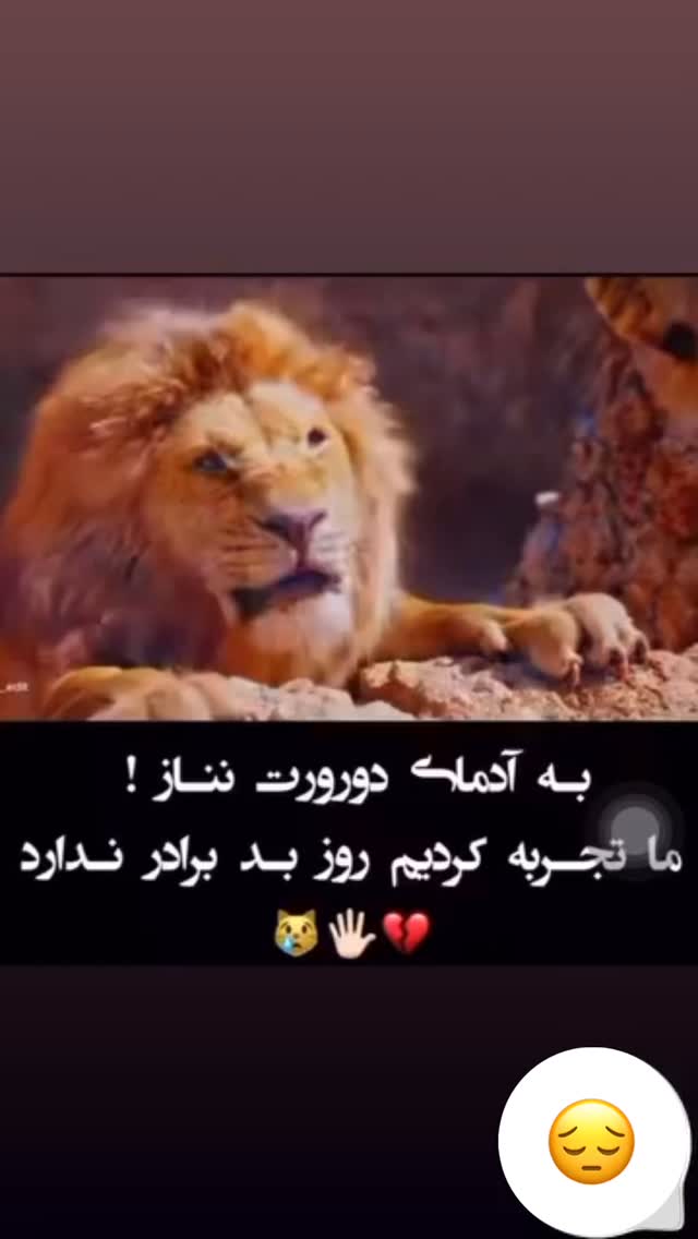  جدید ترین استوری اینستاگرام مسعود اقوامی