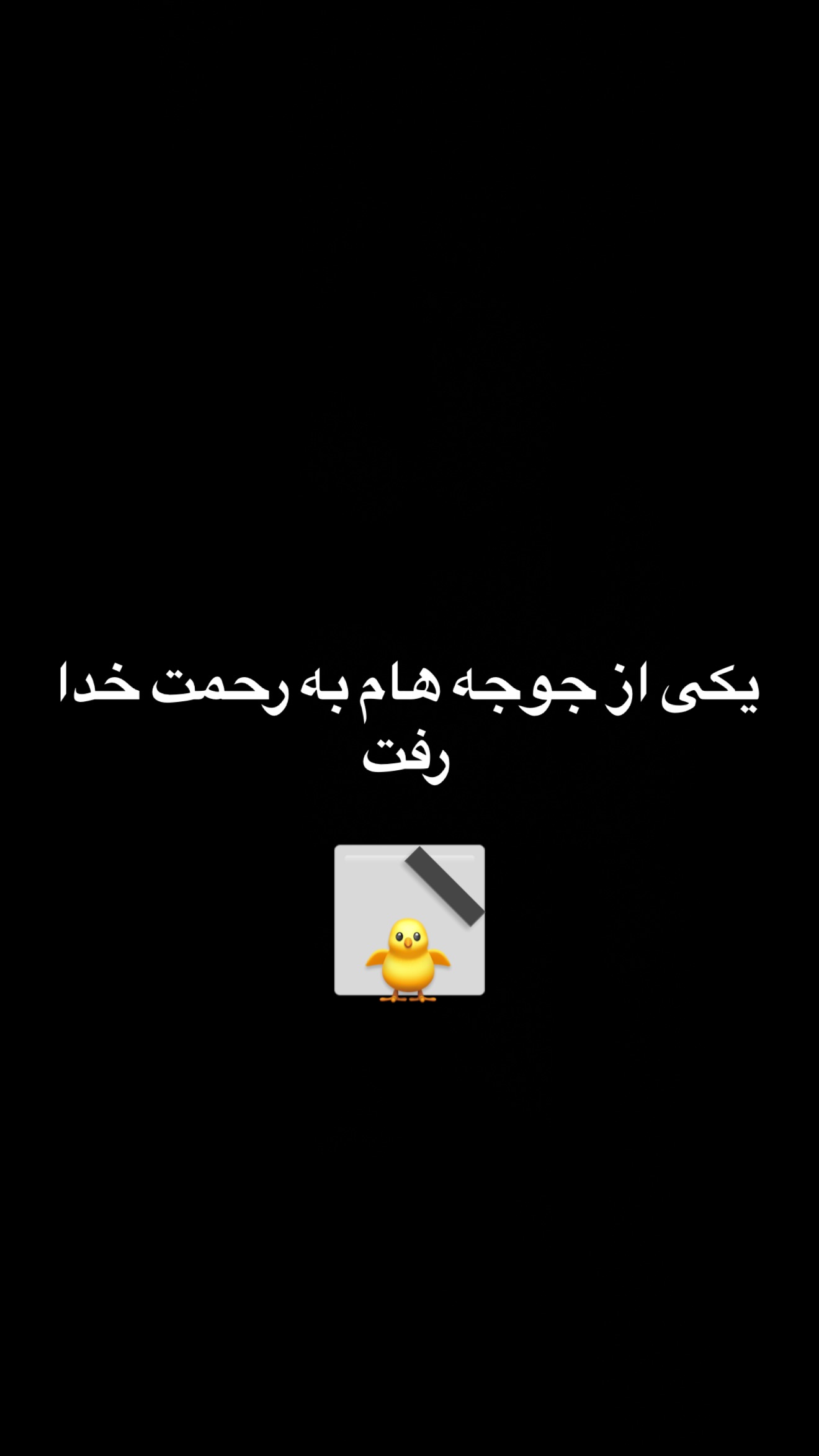  جدید ترین استوری اینستاگرام مسعود صادق لو