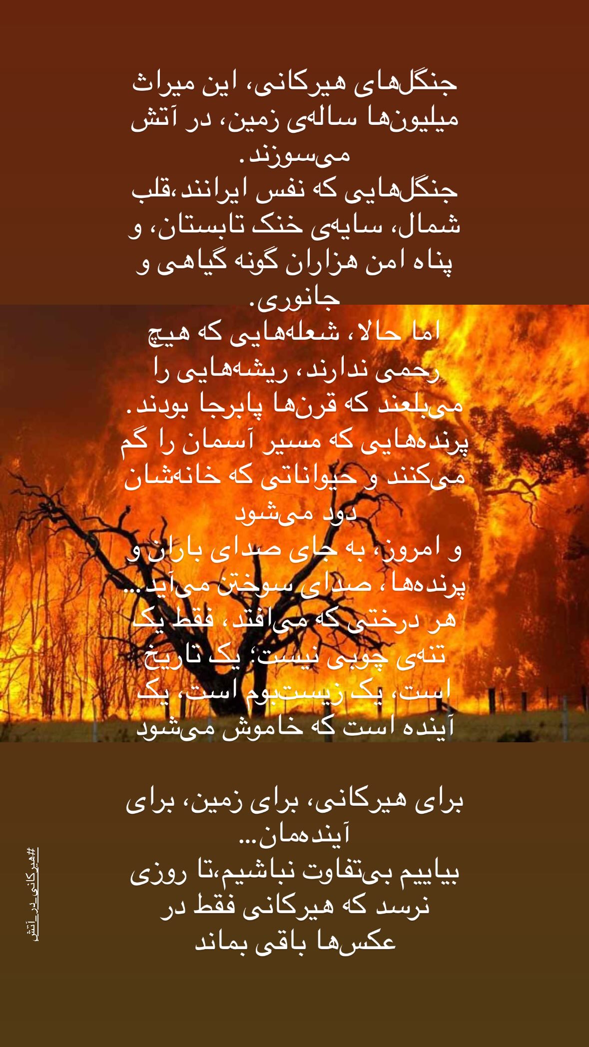  جدید ترین استوری اینستاگرام مسعود شجاعی