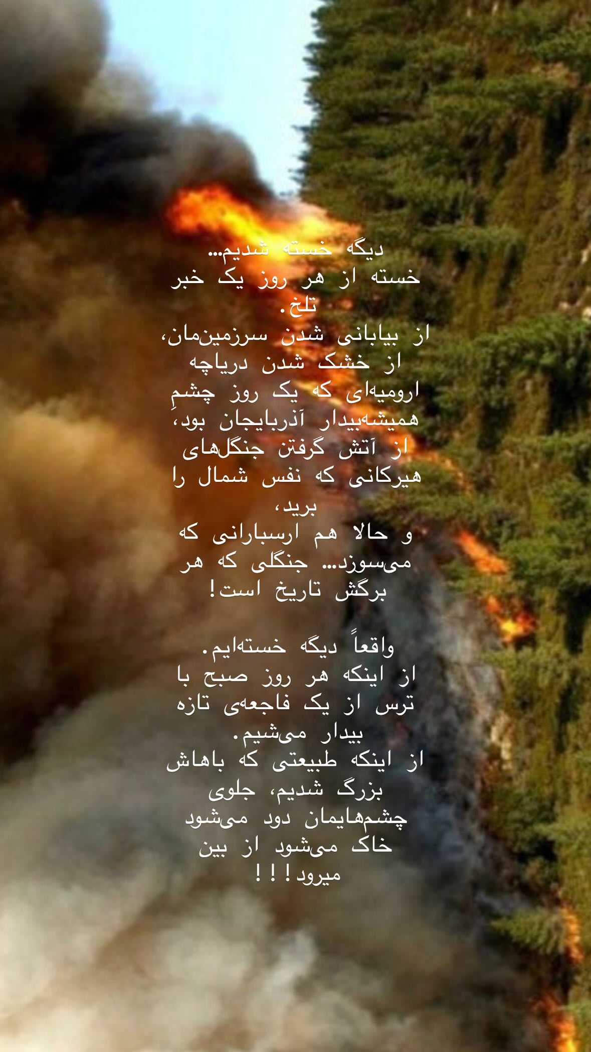  جدید ترین استوری اینستاگرام مسعود شجاعی