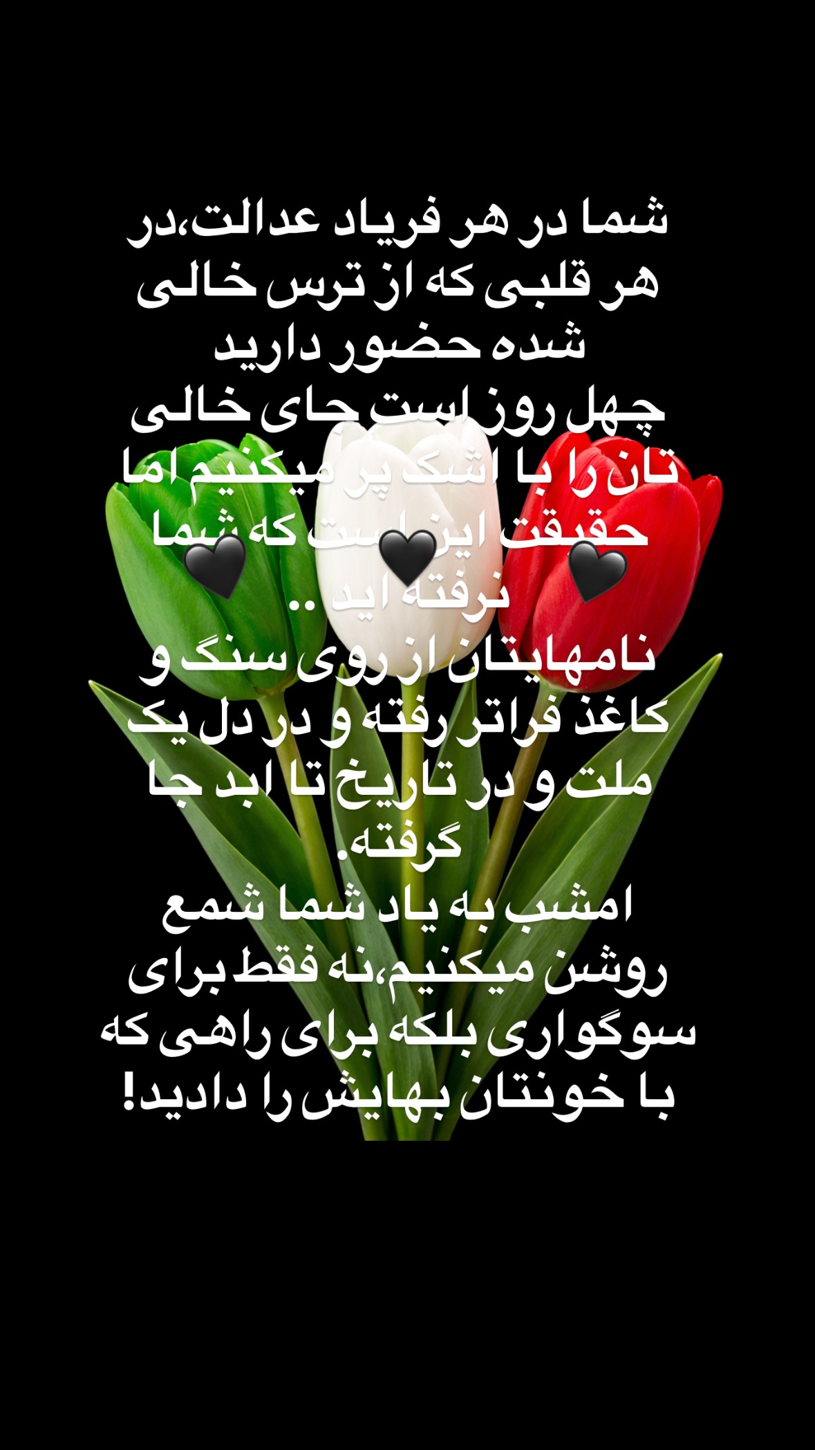  جدید ترین استوری اینستاگرام مسعود شجاعی
