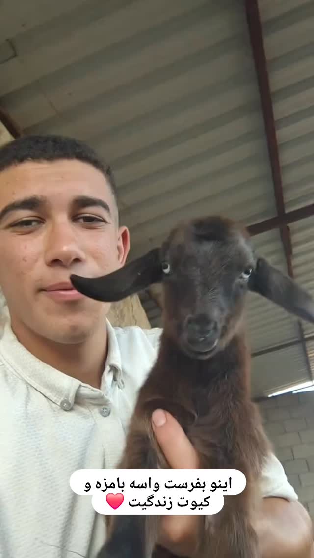  جدید ترین استوری اینستاگرام مسعود تقی پور
