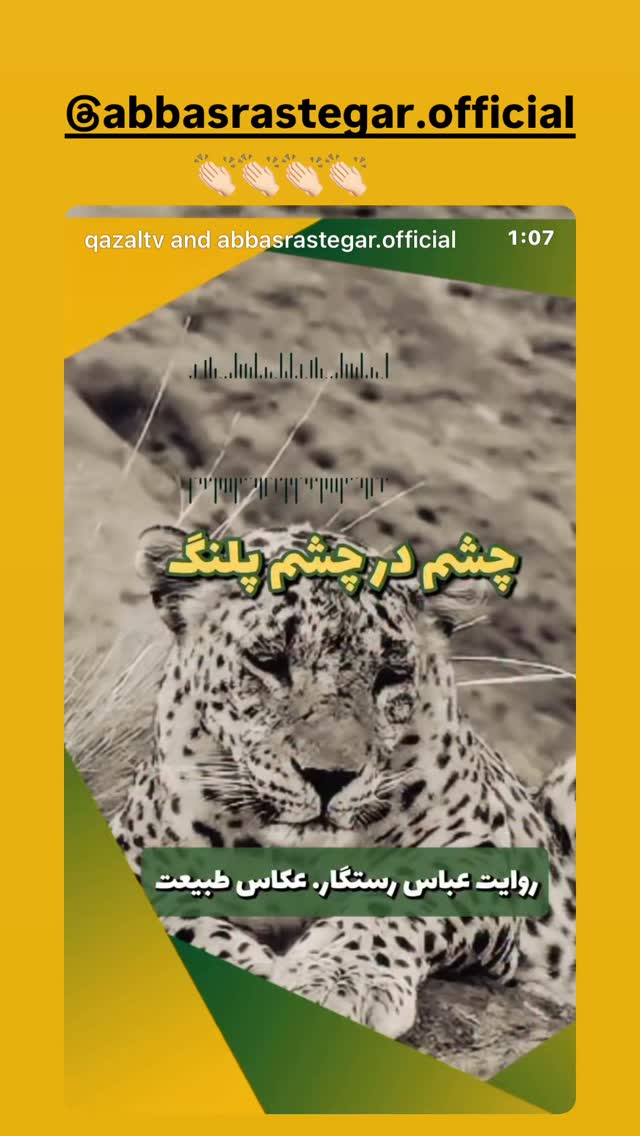  جدید ترین استوری اینستاگرام معصومه كريمى