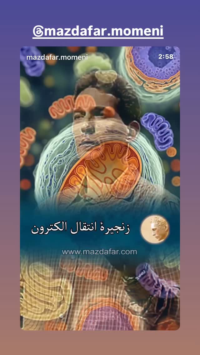  جدید ترین استوری اینستاگرام معصومه كريمى