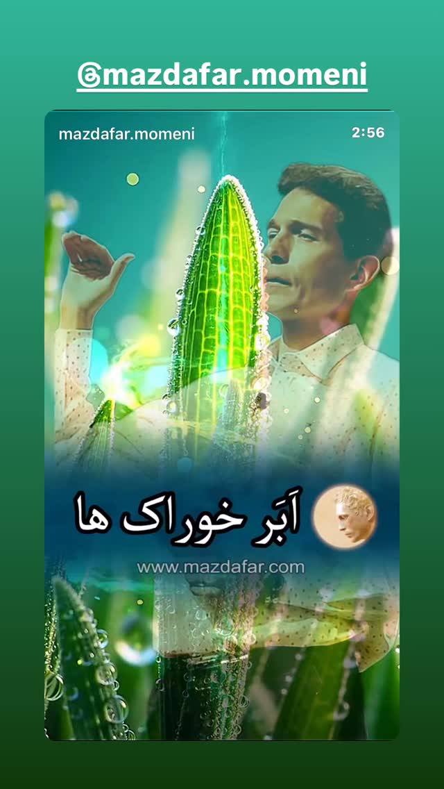  جدید ترین استوری اینستاگرام معصومه كريمى