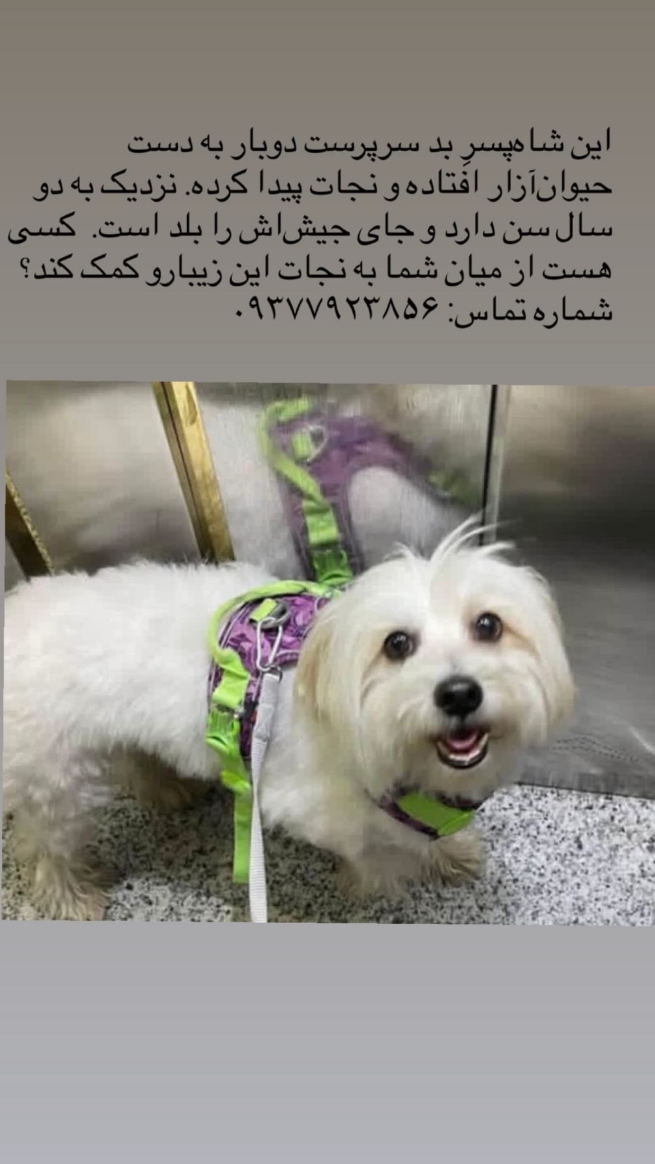  جدید ترین استوری اینستاگرام متین السادات ستوده