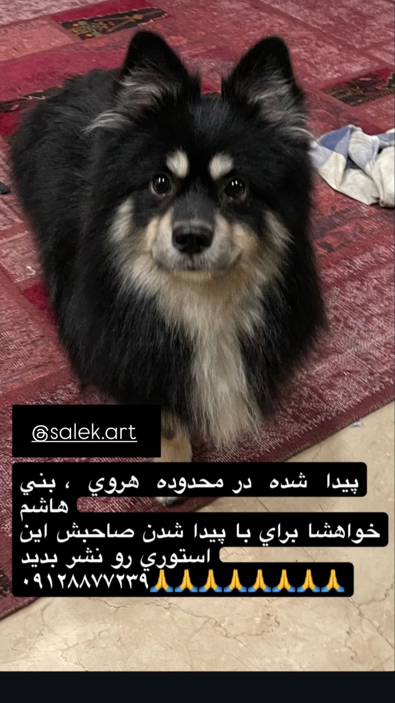  جدید ترین استوری اینستاگرام متین السادات ستوده