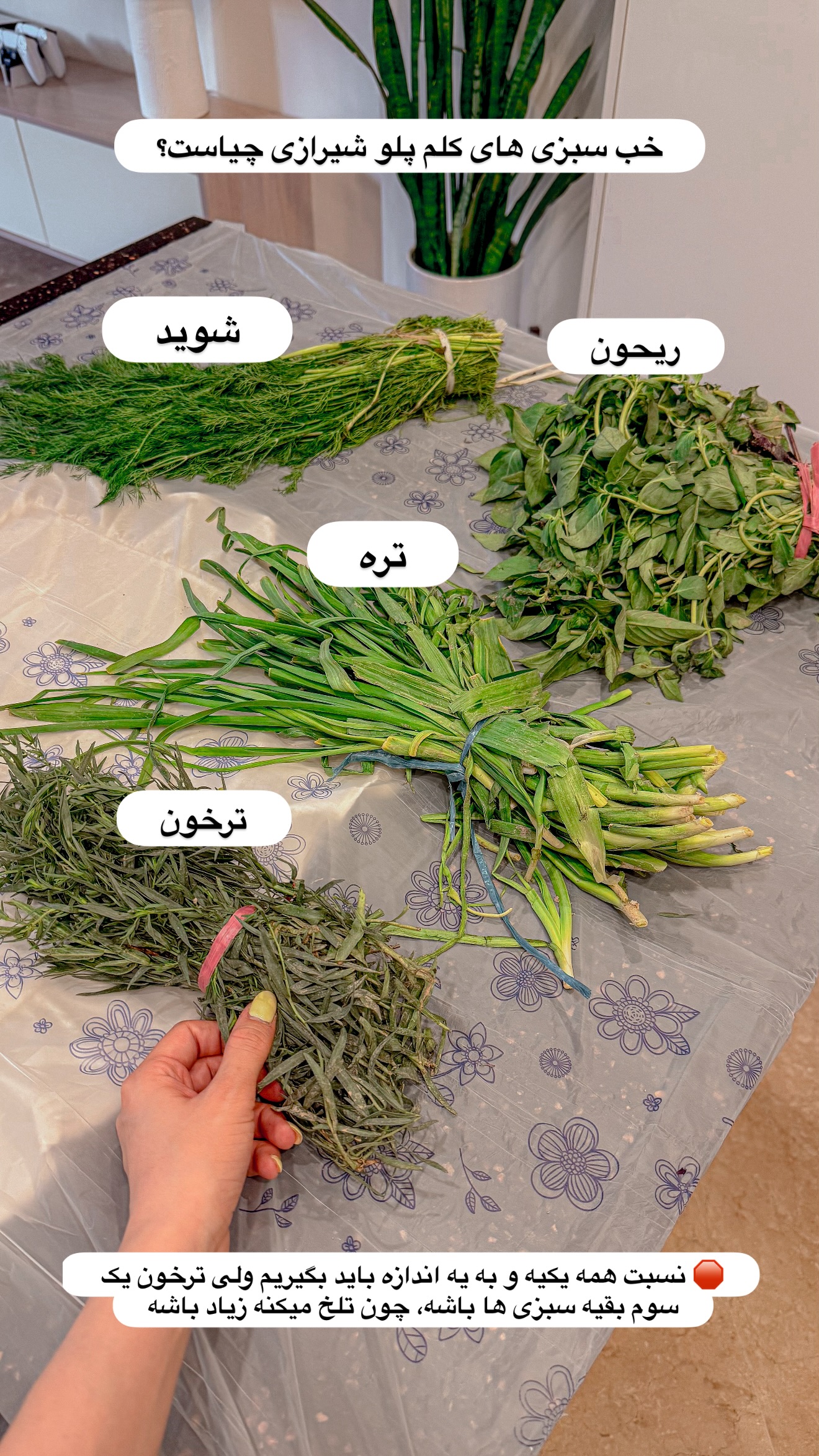  جدید ترین استوری اینستاگرام مائده