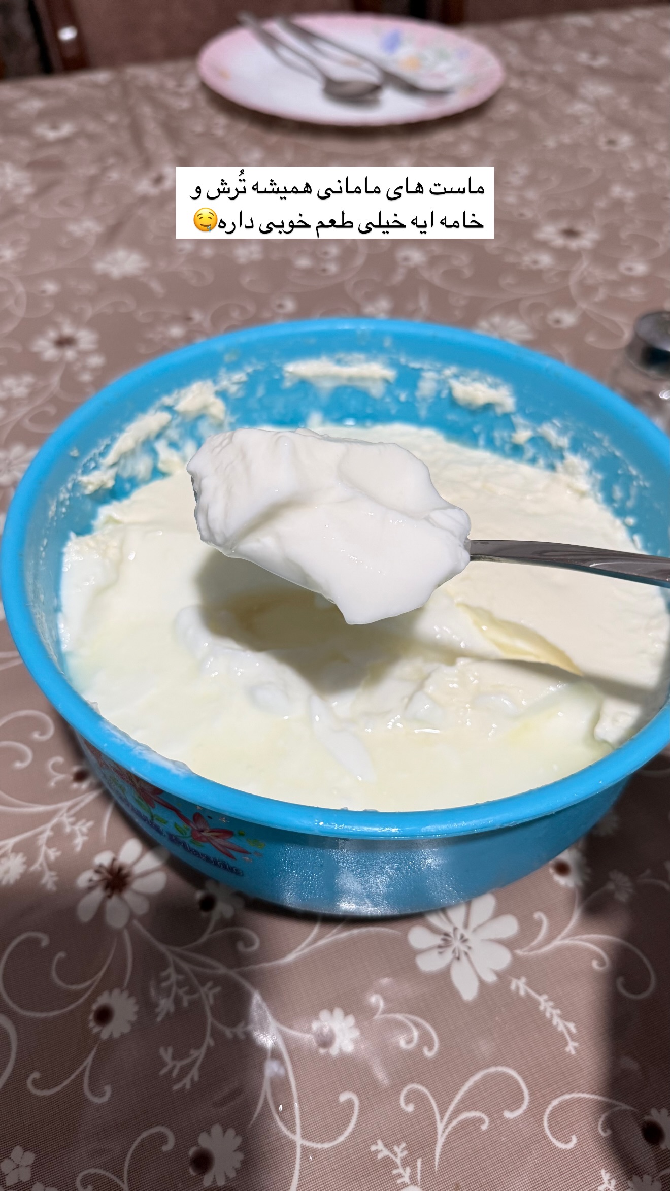  جدید ترین استوری اینستاگرام مائده