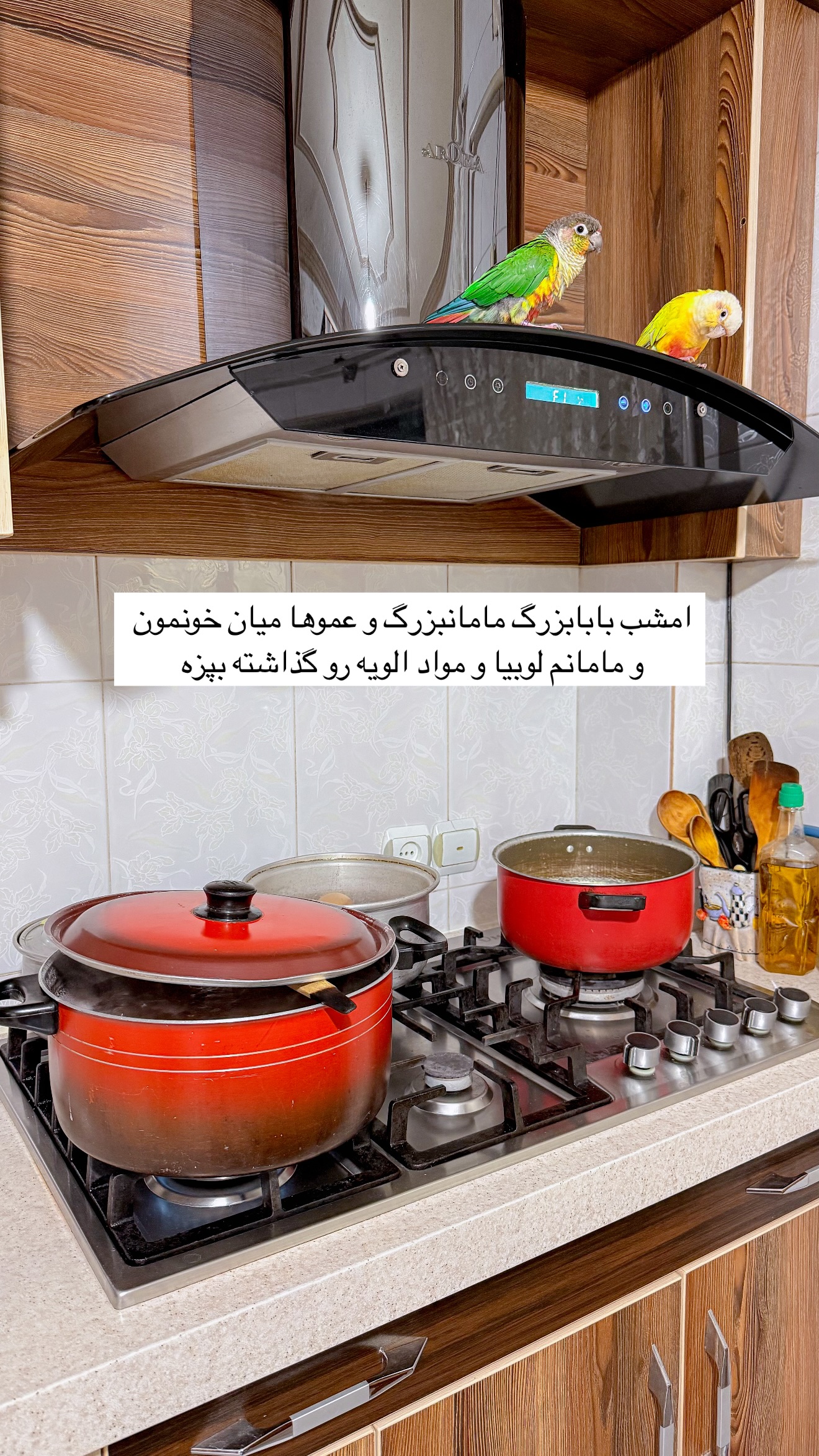  جدید ترین استوری اینستاگرام مائده