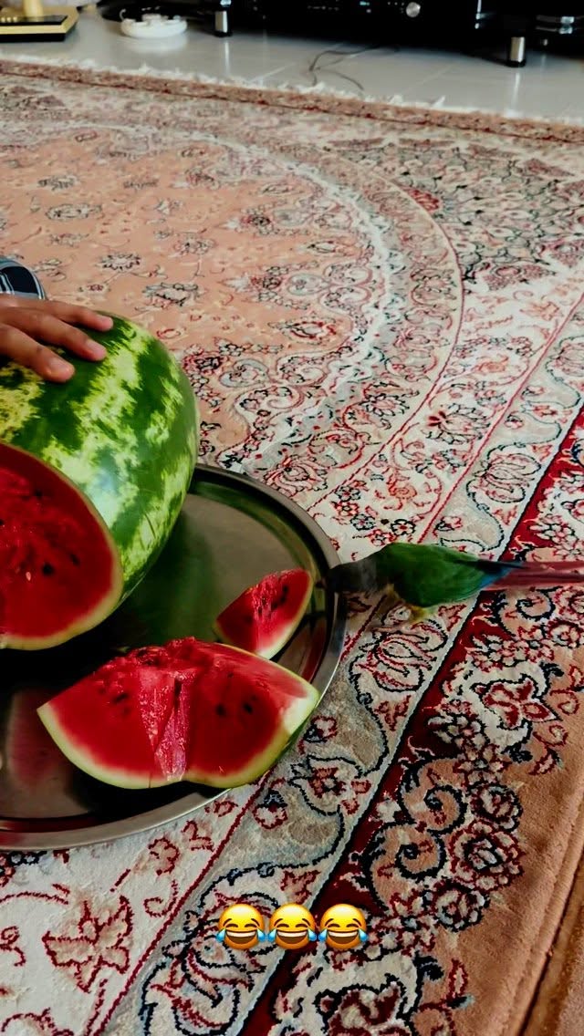  جدید ترین استوری اینستاگرام مائده