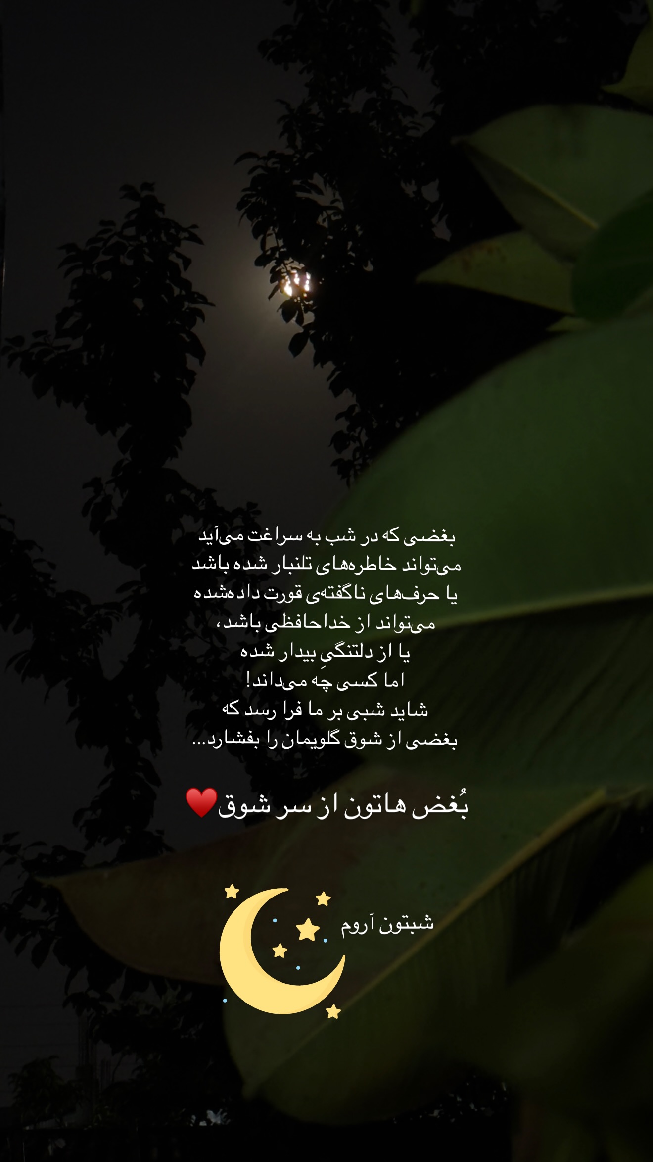 جدید ترین استوری اینستاگرام مائده