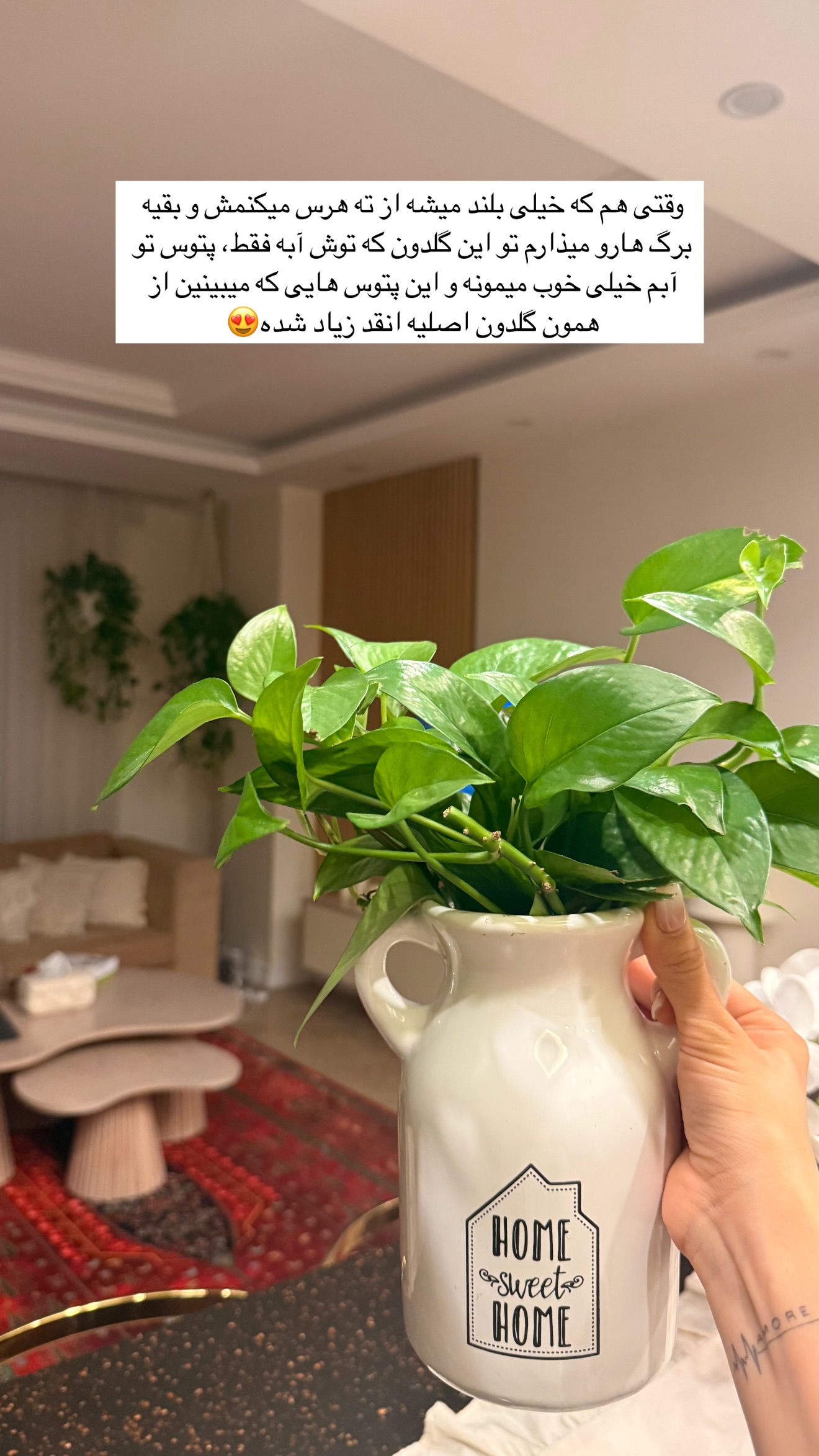 جدید ترین استوری اینستاگرام مائده