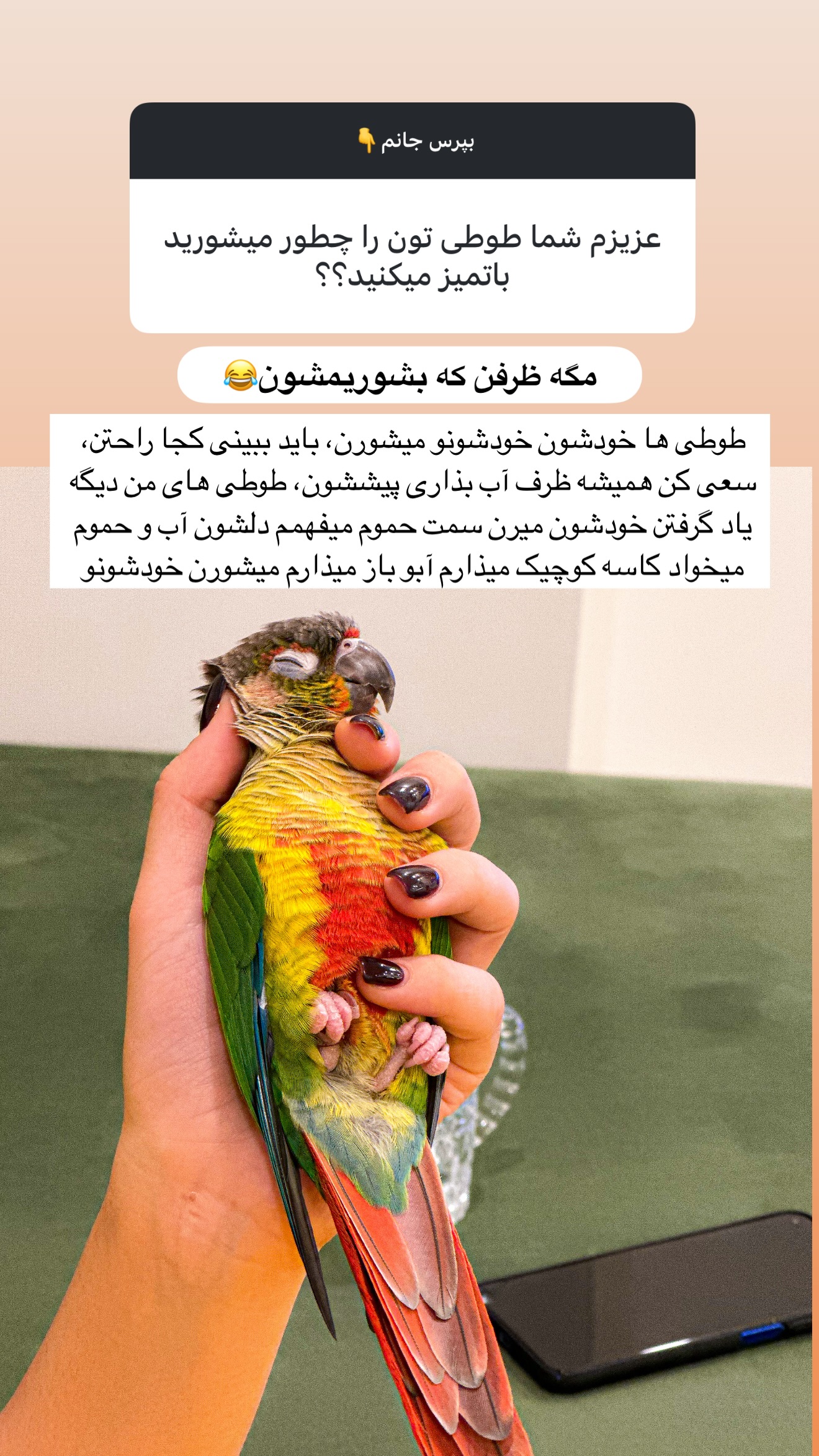  جدید ترین استوری اینستاگرام مائده