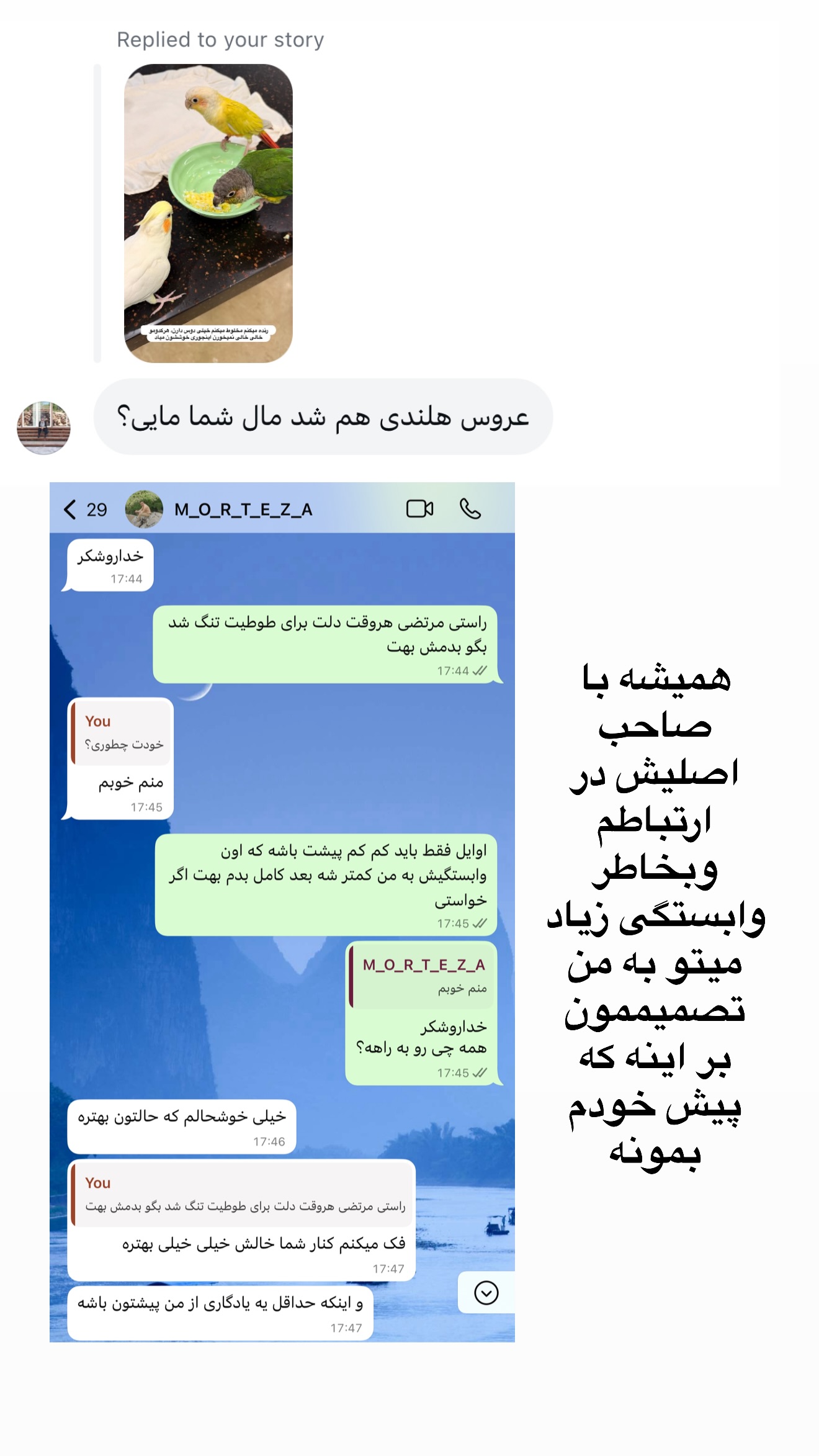  جدید ترین استوری اینستاگرام مائده