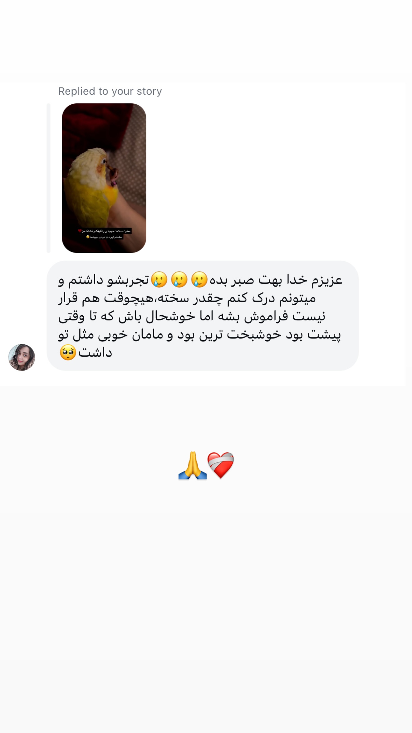 جدید ترین استوری اینستاگرام مائده