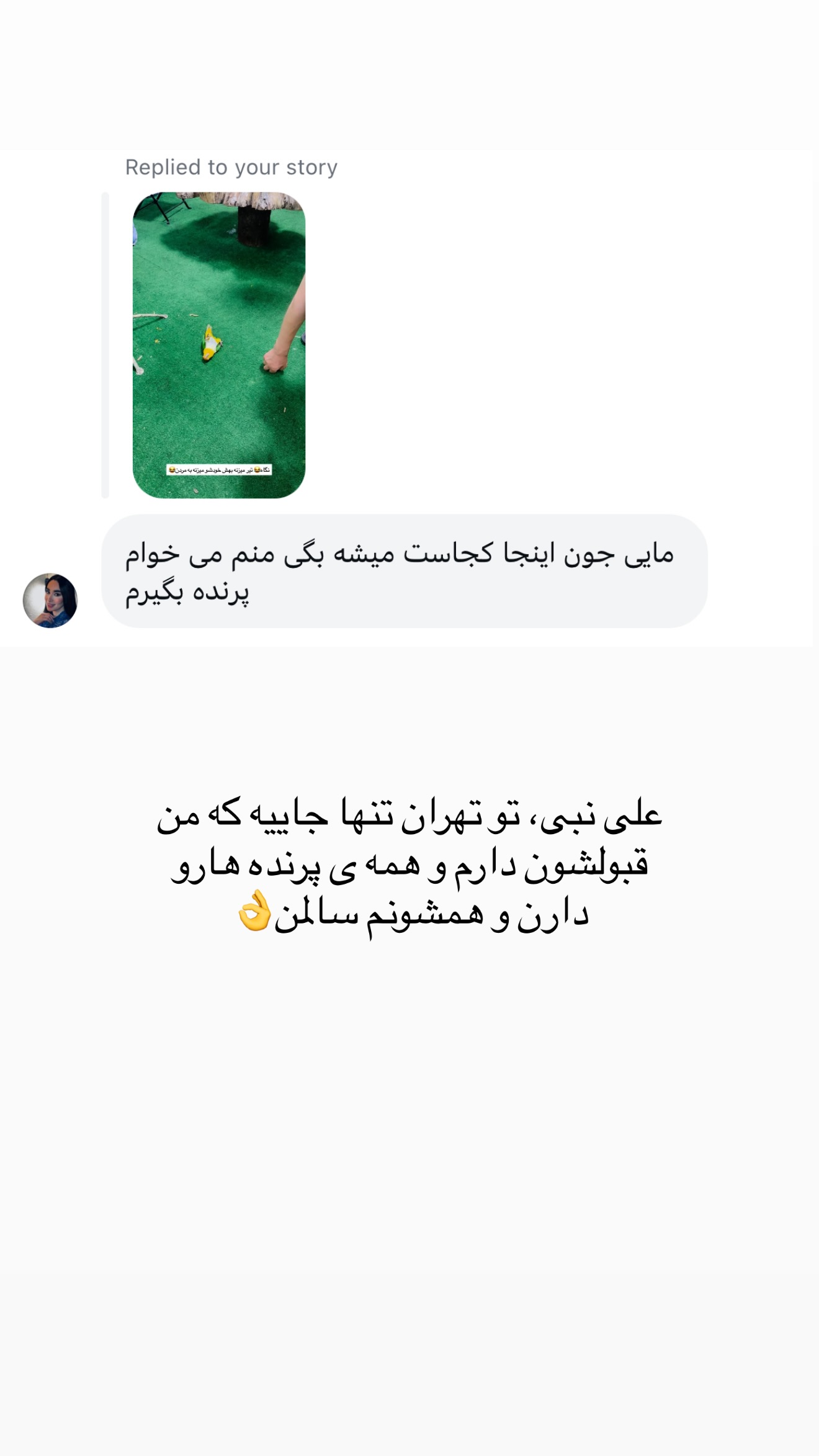  جدید ترین استوری اینستاگرام مائده