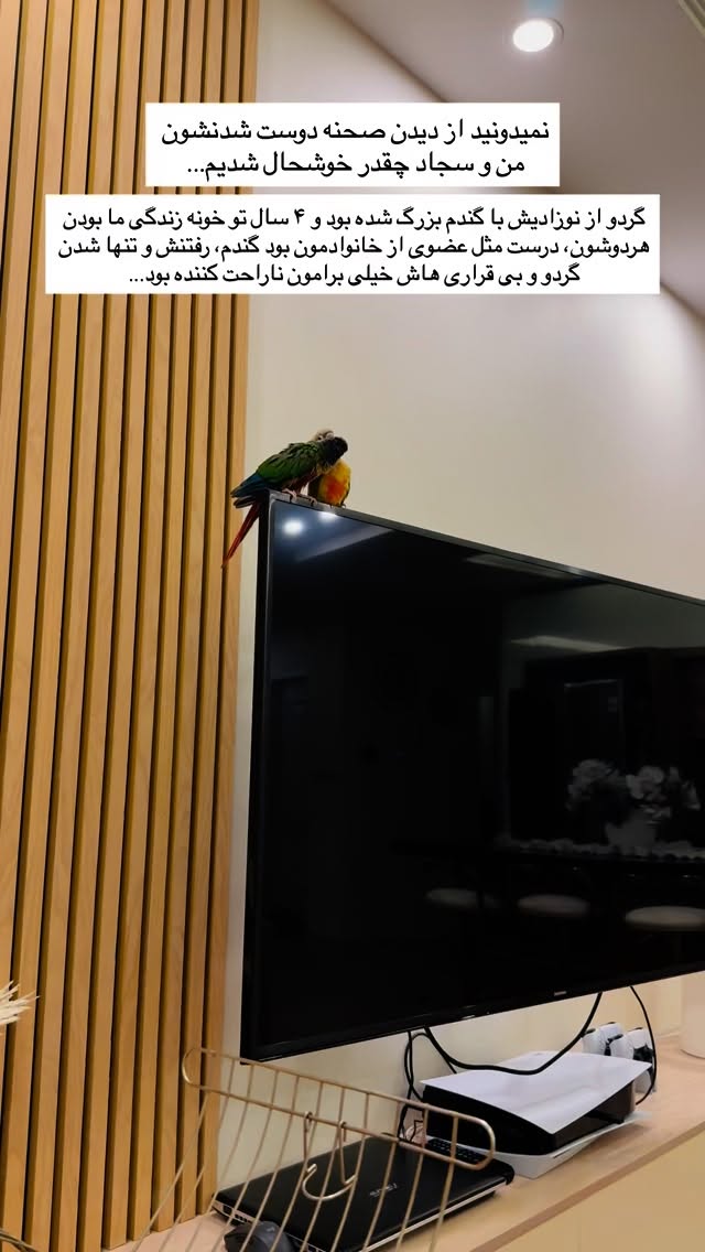  جدید ترین استوری اینستاگرام مائده