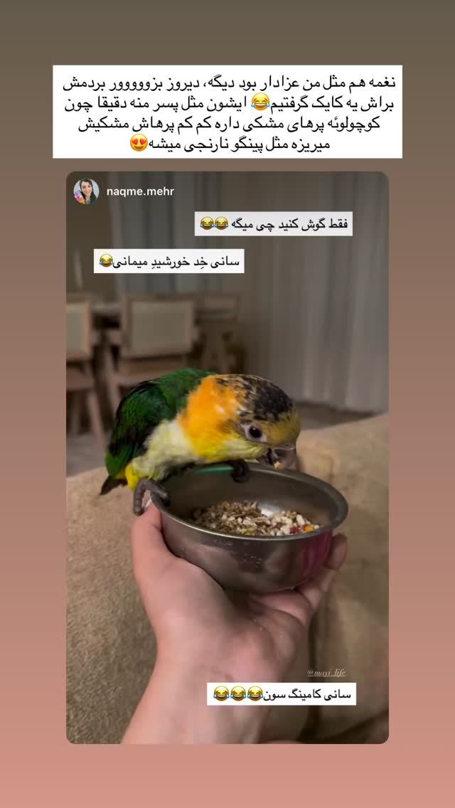  جدید ترین استوری اینستاگرام مائده