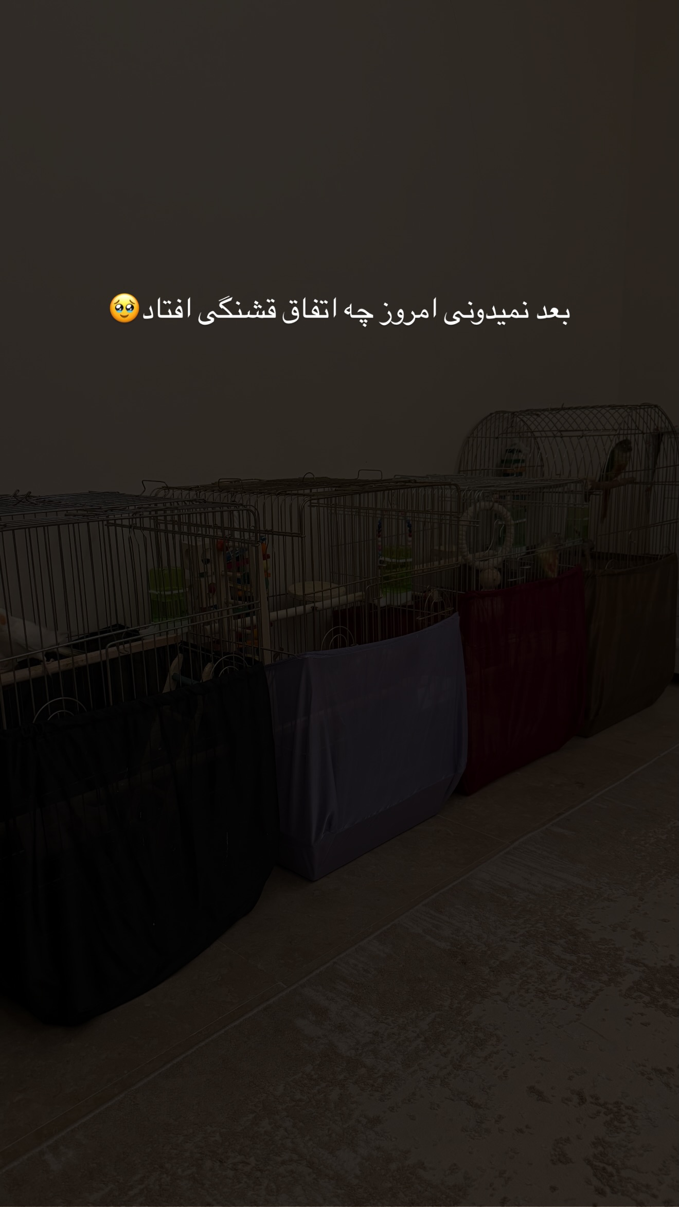  جدید ترین استوری اینستاگرام مائده