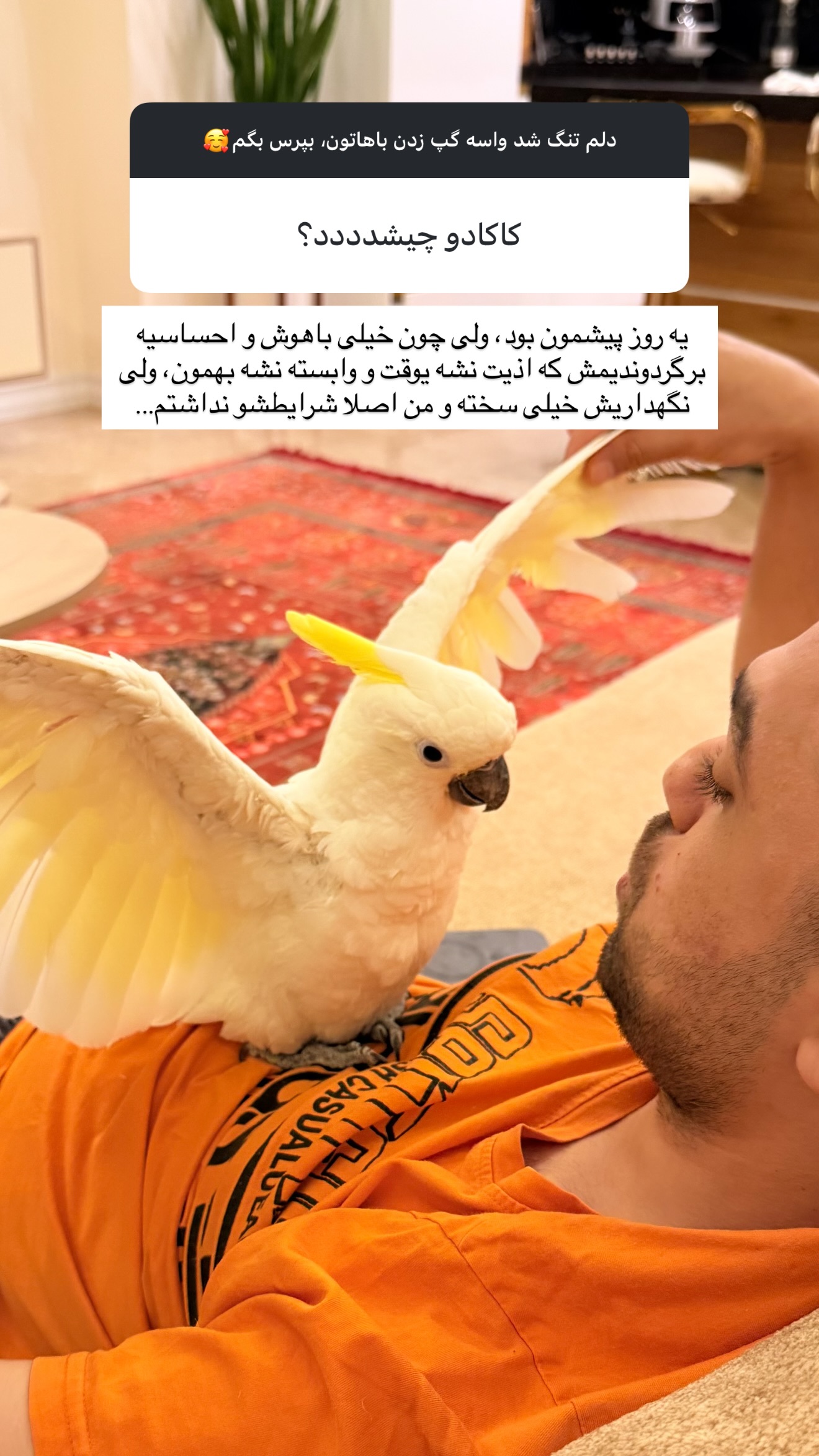  جدید ترین استوری اینستاگرام مائده