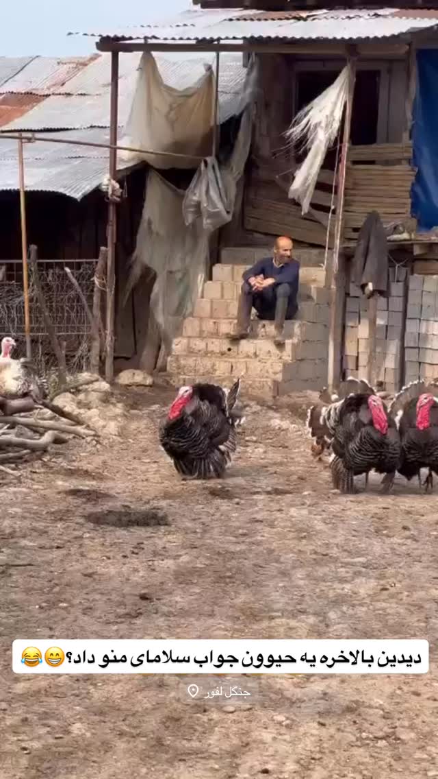  جدید ترین استوری اینستاگرام مائده