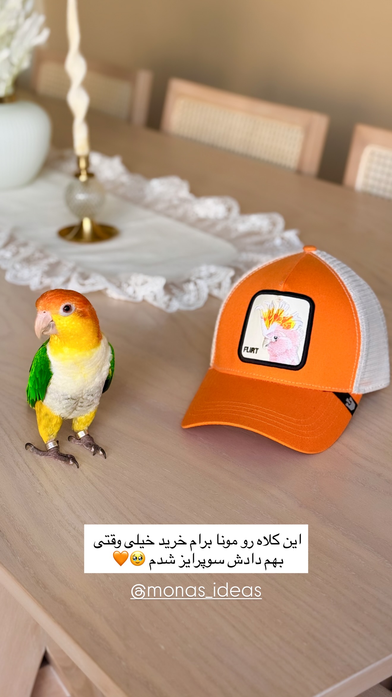  جدید ترین استوری اینستاگرام مائده