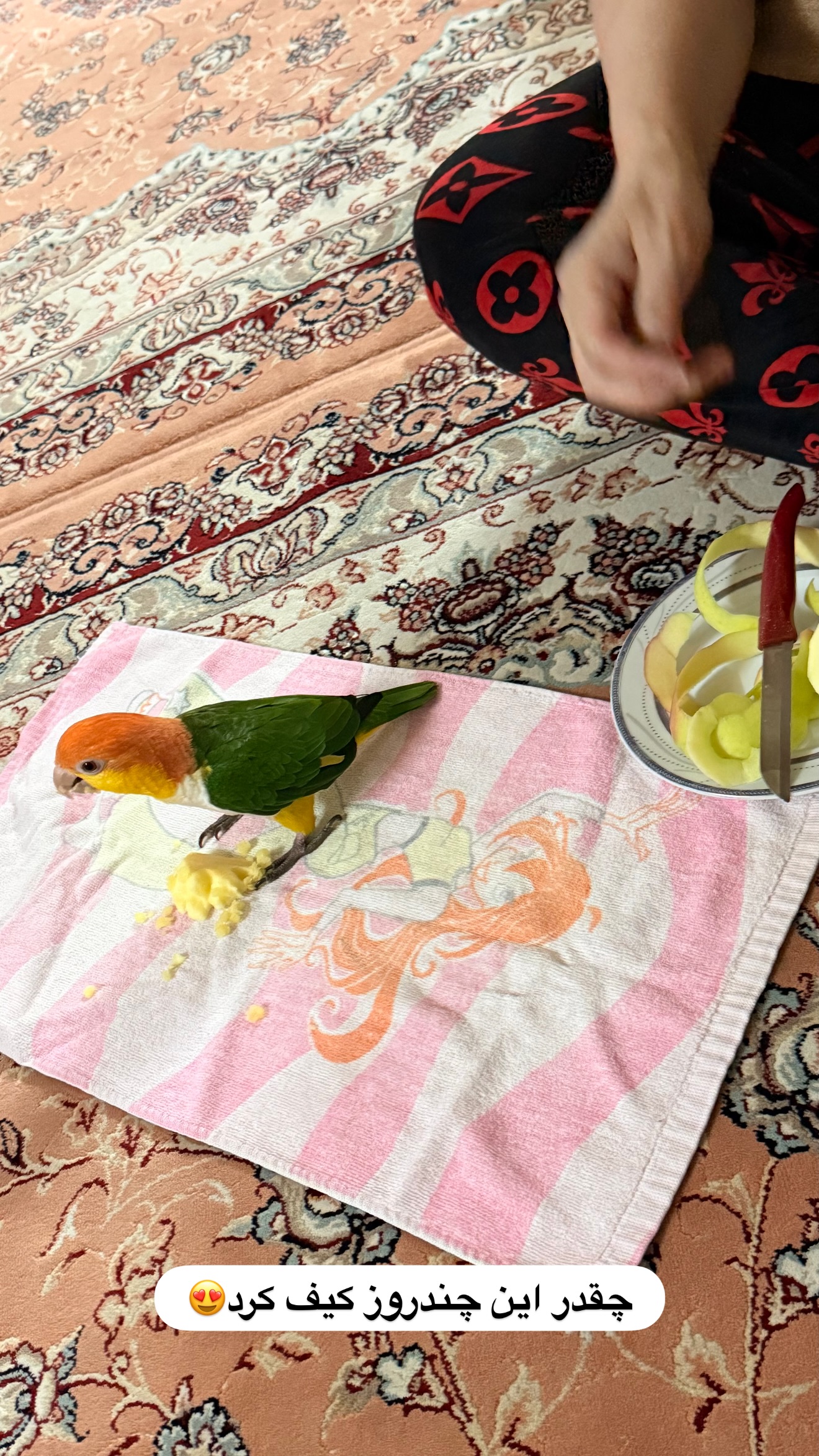  جدید ترین استوری اینستاگرام مائده