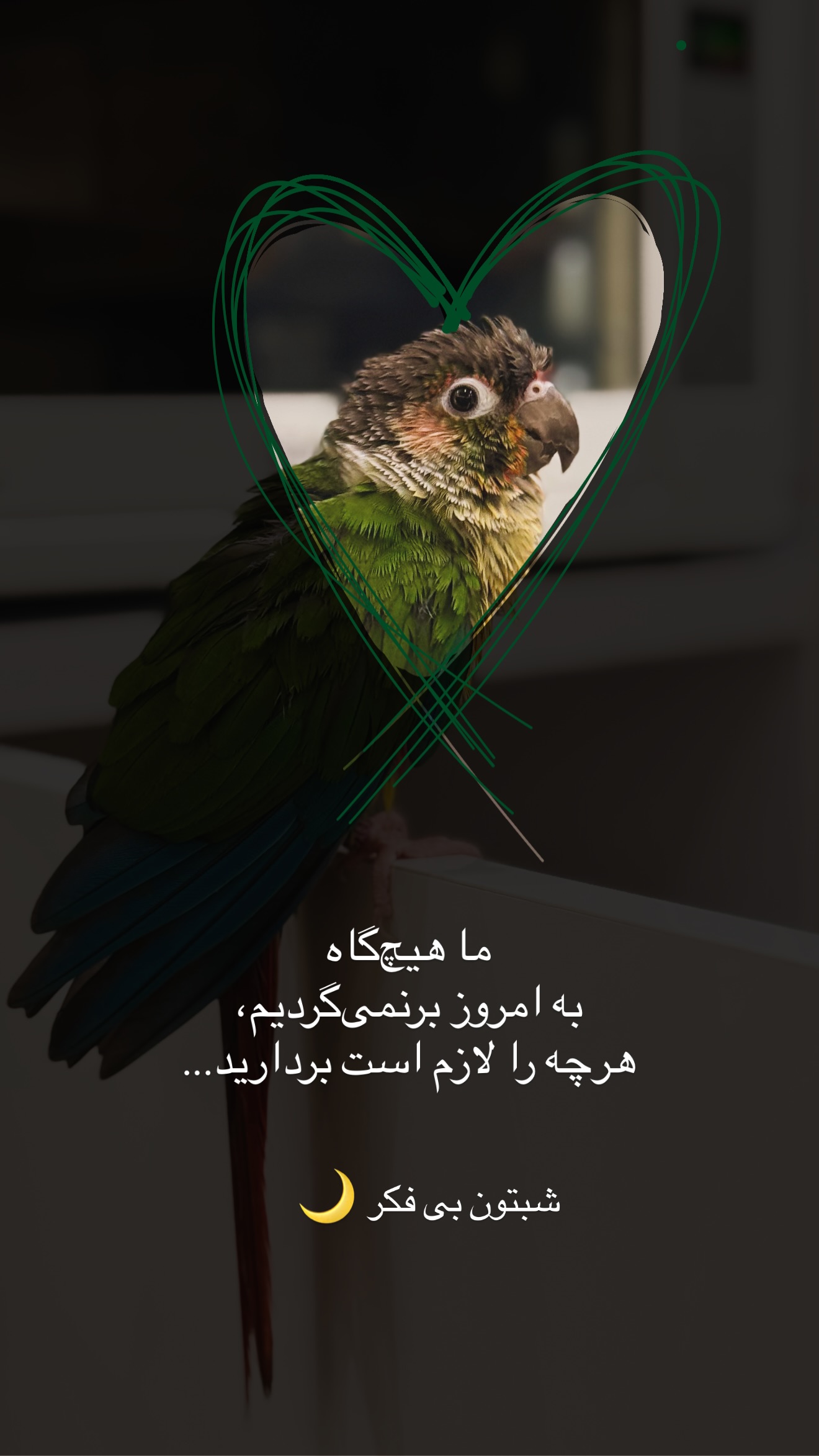  جدید ترین استوری اینستاگرام مائده