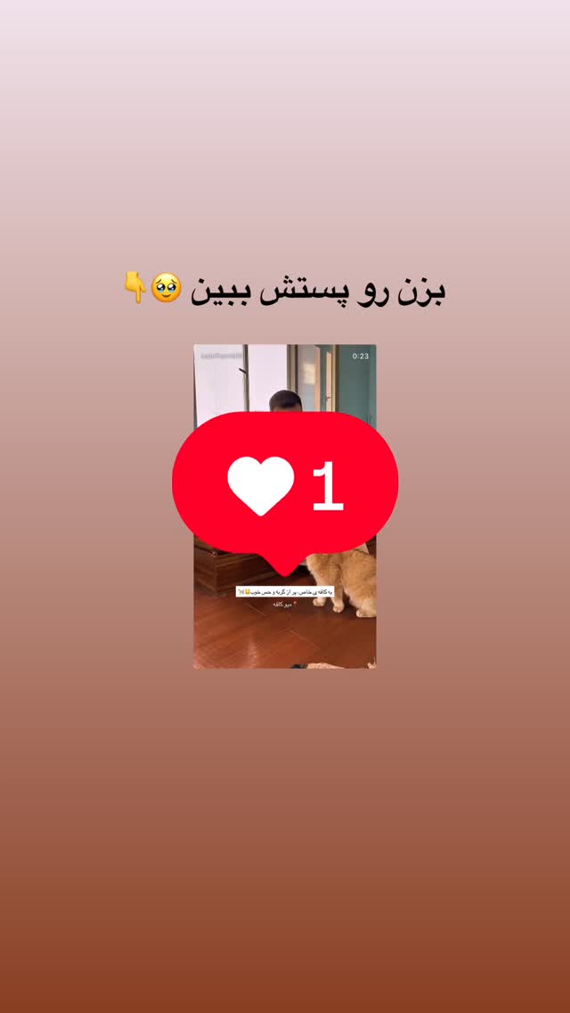  جدید ترین استوری اینستاگرام مائده