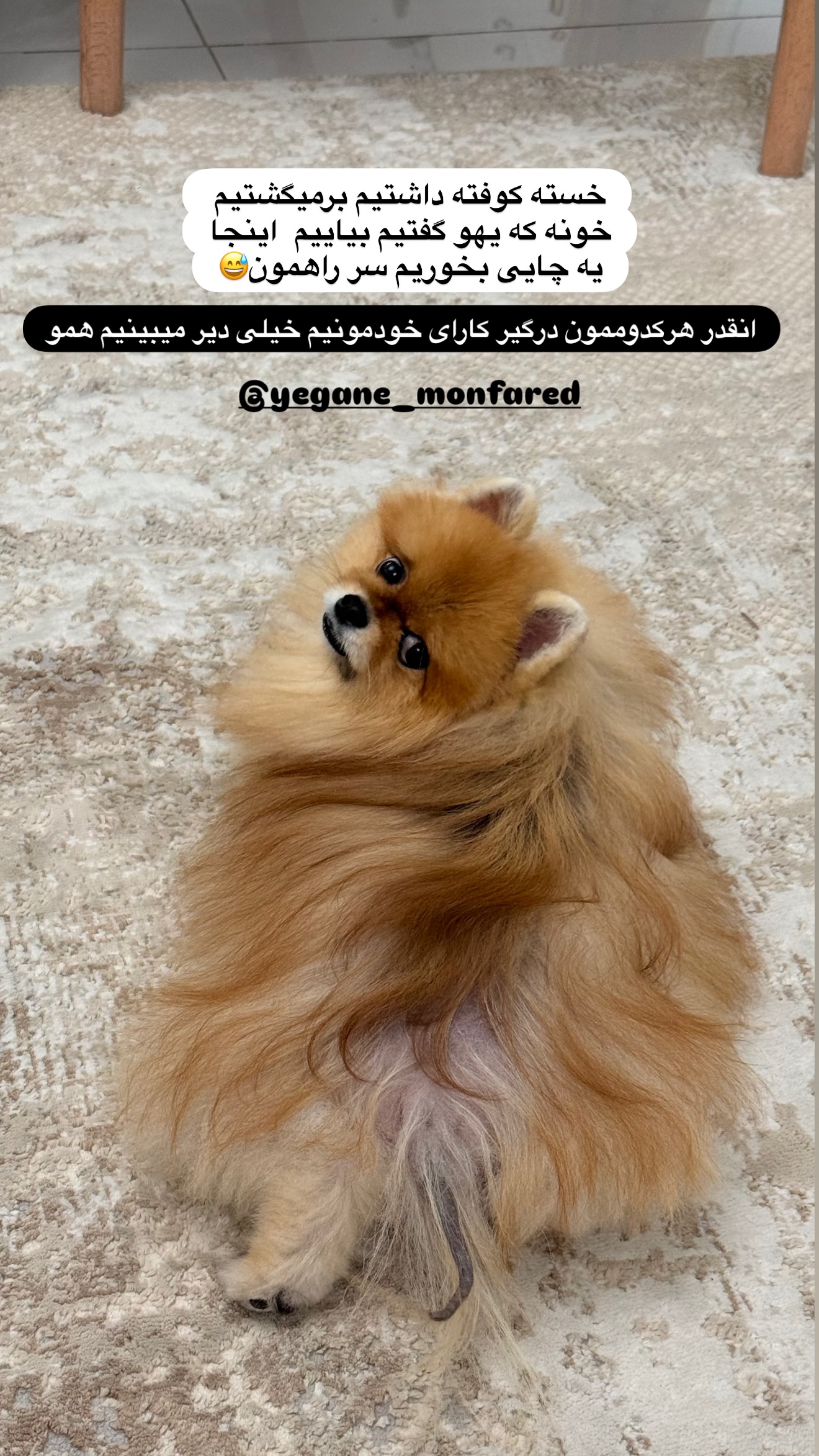 جدید ترین استوری اینستاگرام مائده