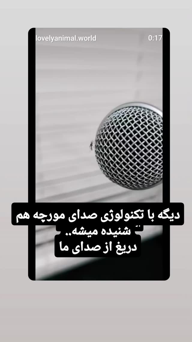  جدید ترین استوری اینستاگرام مازیار لرستانی