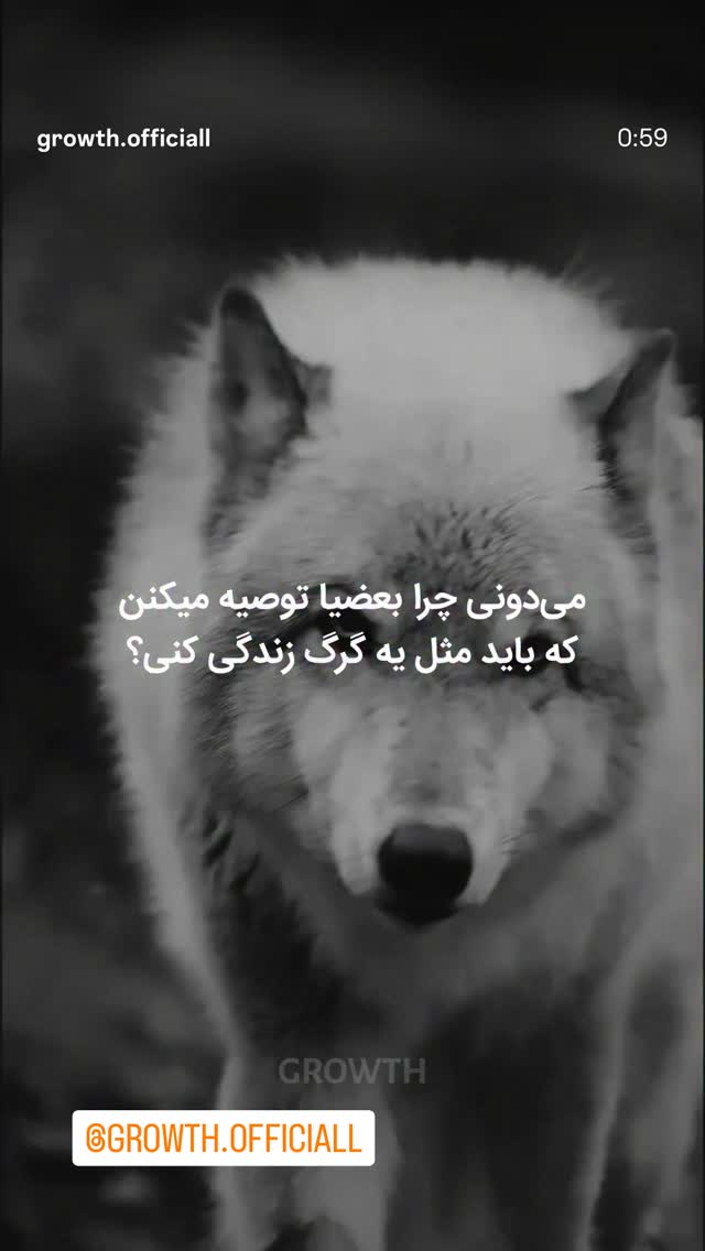  جدید ترین استوری اینستاگرام مازیار لرستانی