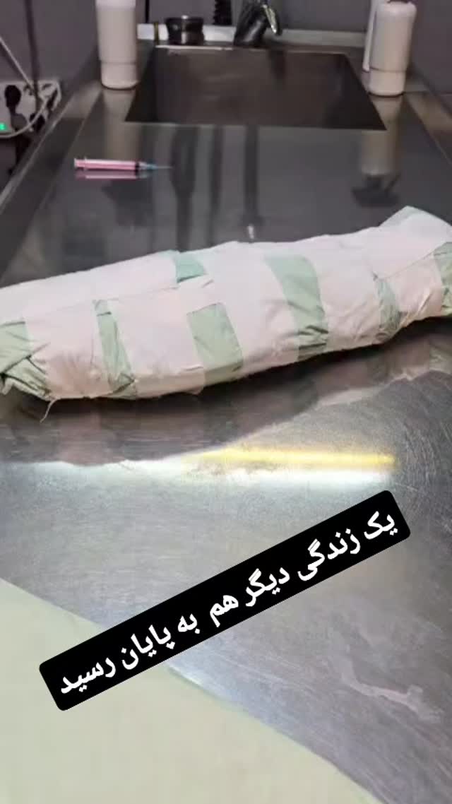  جدید ترین استوری اینستاگرام مازیار لرستانی