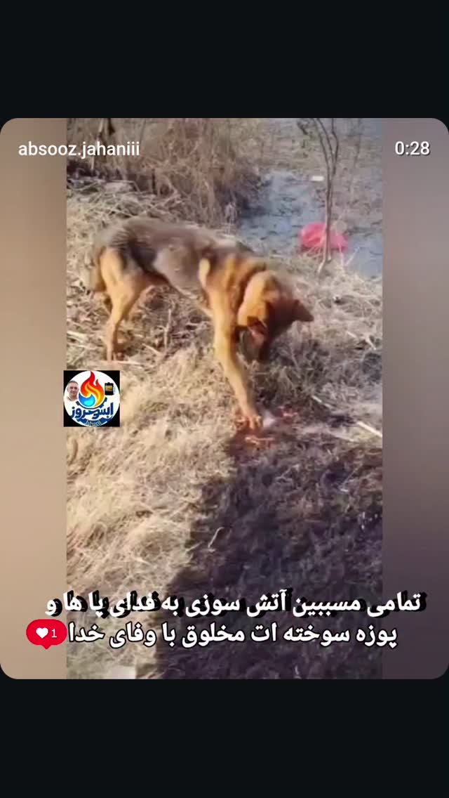  جدید ترین استوری اینستاگرام مازیار لرستانی