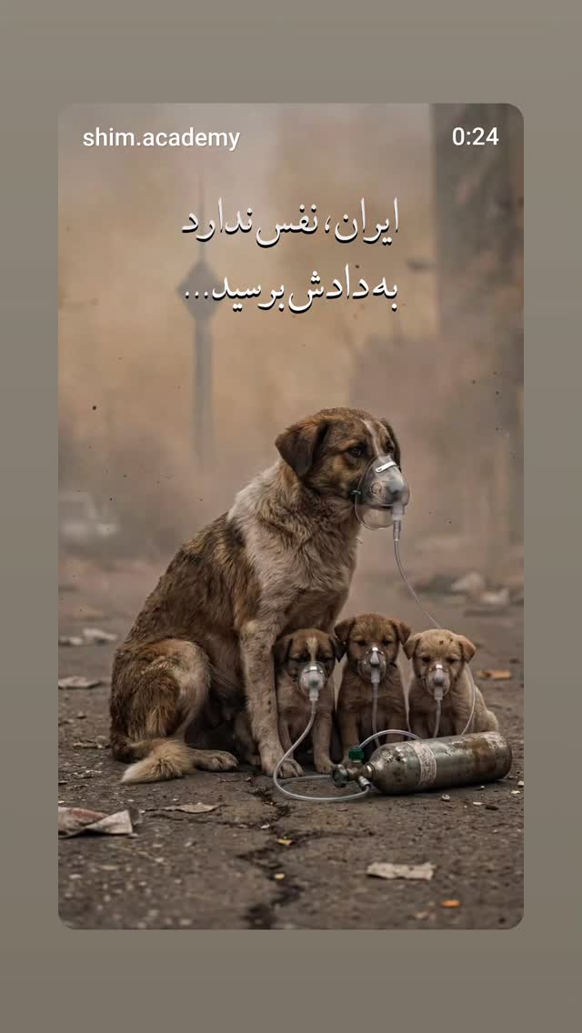  جدید ترین استوری اینستاگرام مازیار لرستانی
